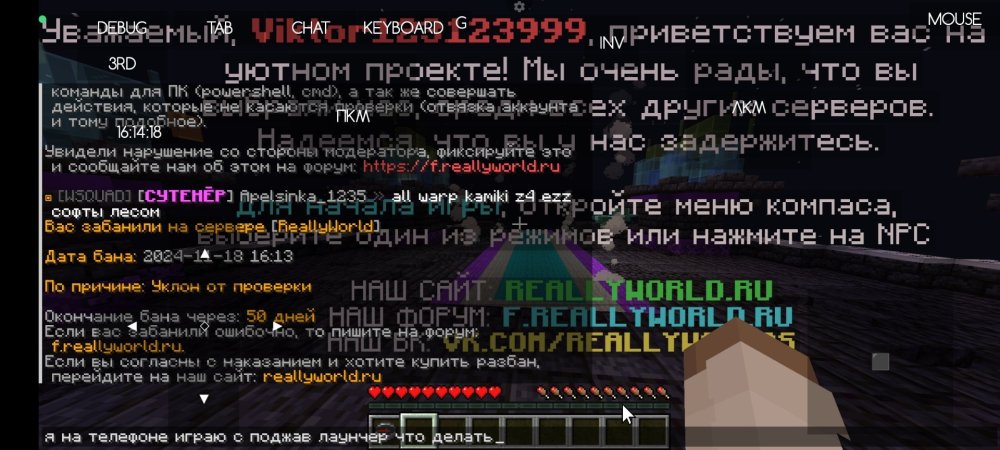 Screenshot_2024-11-18-16-14-18-752_net_kdt.pojavlaunch.thumb.jpg.4c2513342b5c0d9959219150b4ddcfe7.jpg