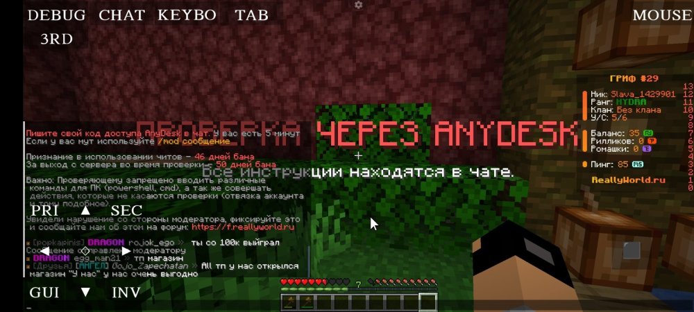 Screenshot_2024-11-20-17-23-41-721_net.kdt.pojavlaunch.jpg