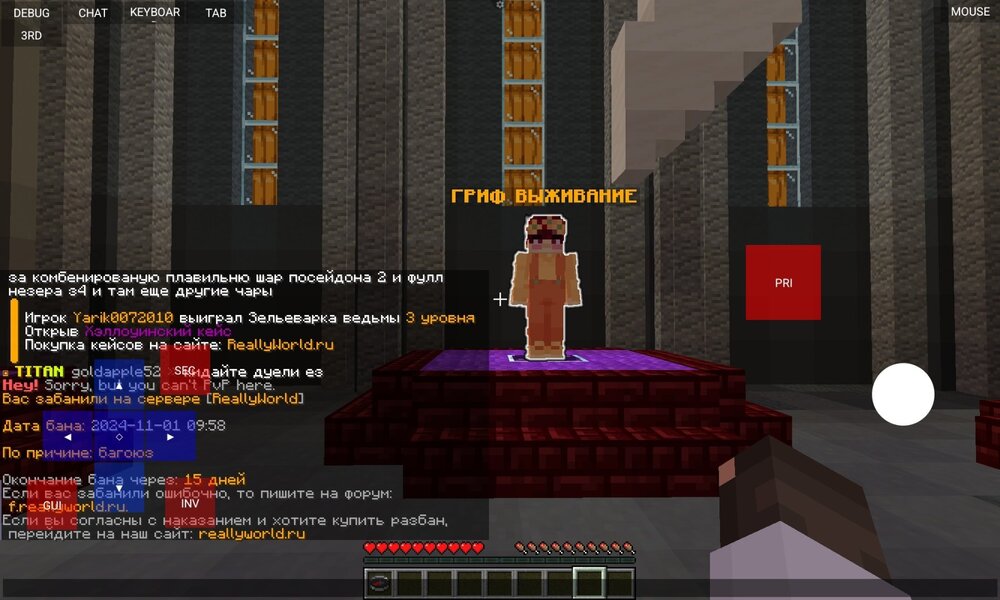 Screenshot_20241101-085910_PojavLauncher(MinecraftJavaEditionforAndroid).thumb.jpg.61329e061b47bb96fa3b31dd844fd583.jpg