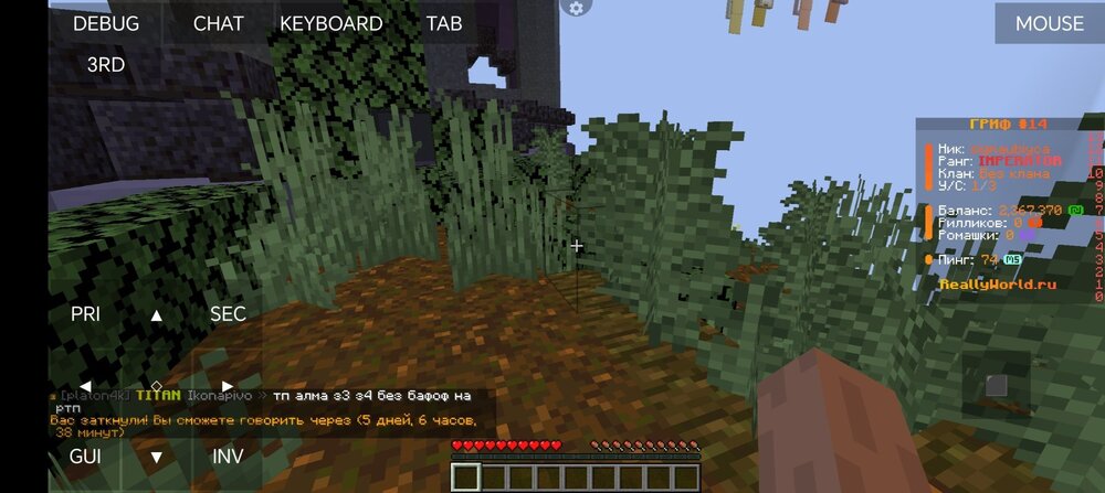 Screenshot_20241101_133140_net_kdt.pojavlaunch.thumb.jpg.d4c55f7aa2bf67156f238baac3be20bb.jpg