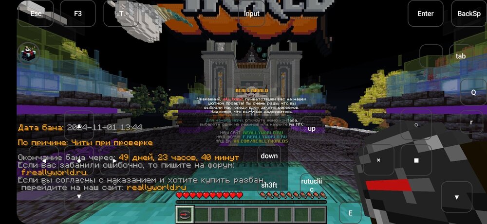Screenshot_20241101_140417_Fold Craft Launcher.jpg