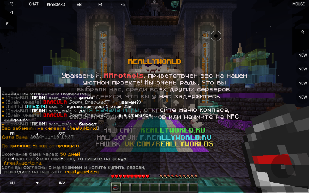 Screenshot_20241110-194129.png