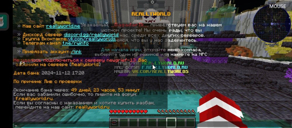 Screenshot_20241112-212918.jpg