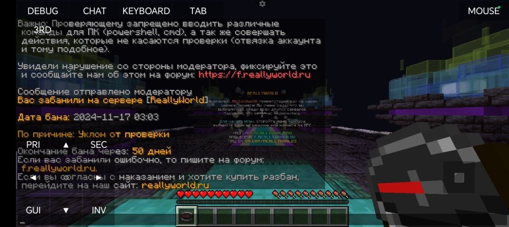 Screenshot_20241117_030514_net_kdt_pojavlaunch_MainActivity.jpg