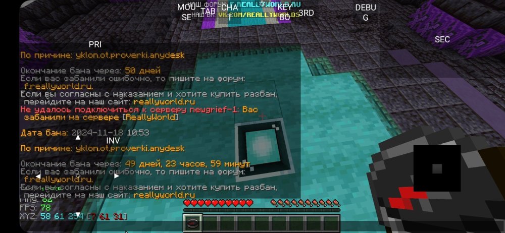 Screenshot_20241118_115753_PojavLauncher (Minecraft Java Edition for Android).jpg