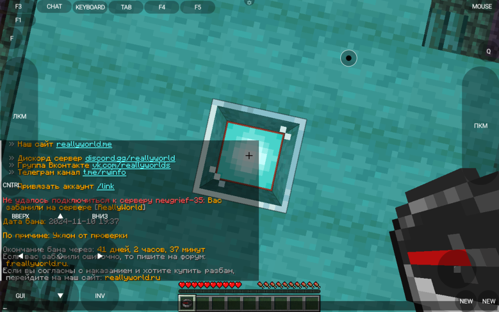 Screenshot_20241119-170013.thumb.png.f65c2ea57a512bc2019688974813077a.png