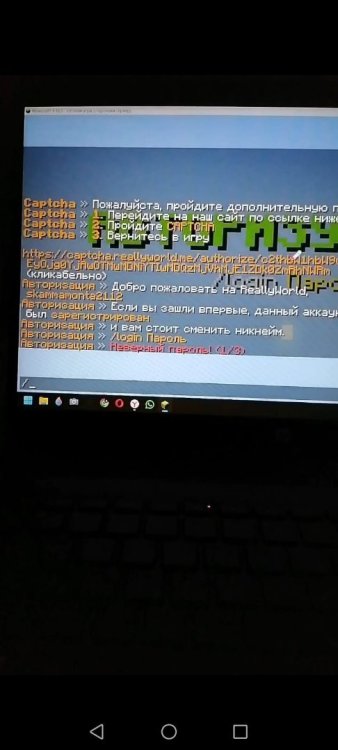 Изображение WhatsApp 2024-11-24 в 16.43.32_d643e835.jpg