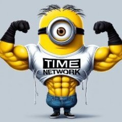 TIMENETWORK13K