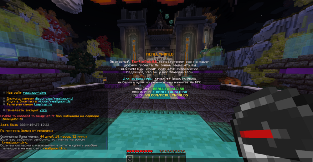 image.thumb.png.474ab2249ffefce8e77e0de9ac900e23.png