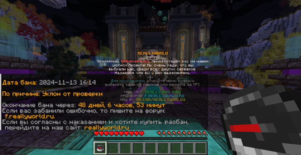image.thumb.png.d8531217f28306a0540c950f1d574ec7.png