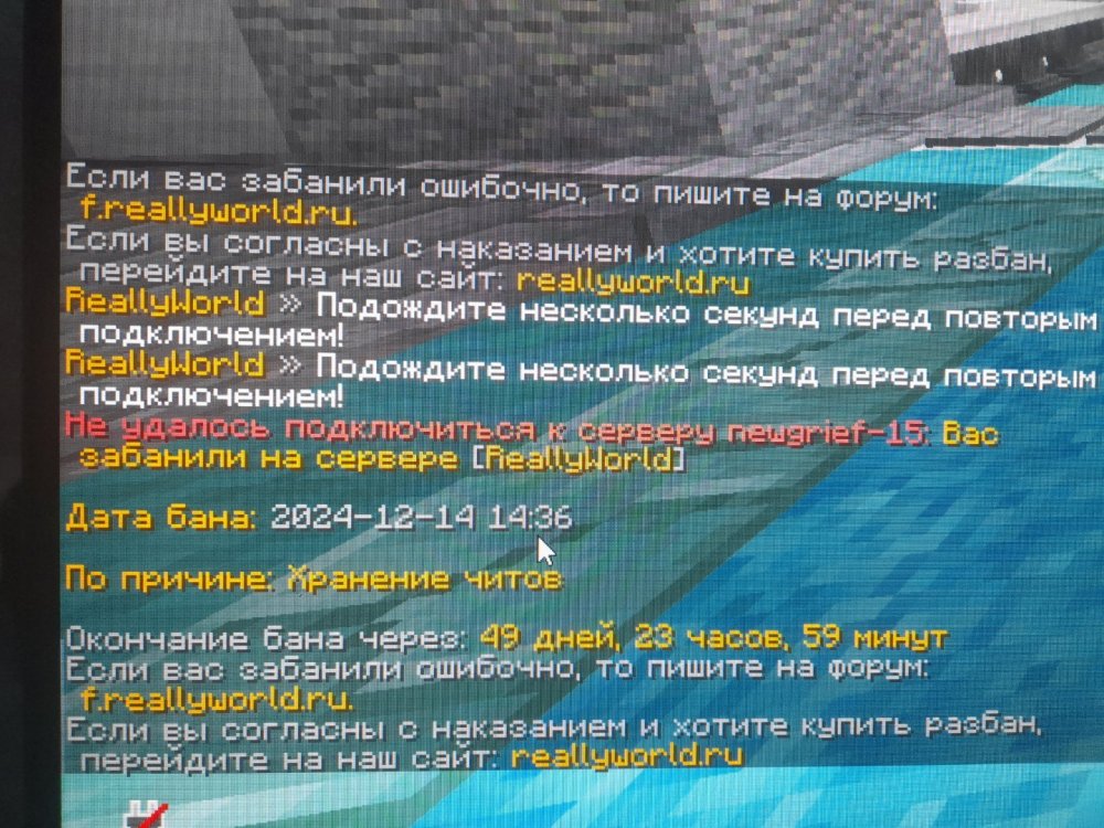 20241214_144543.jpg