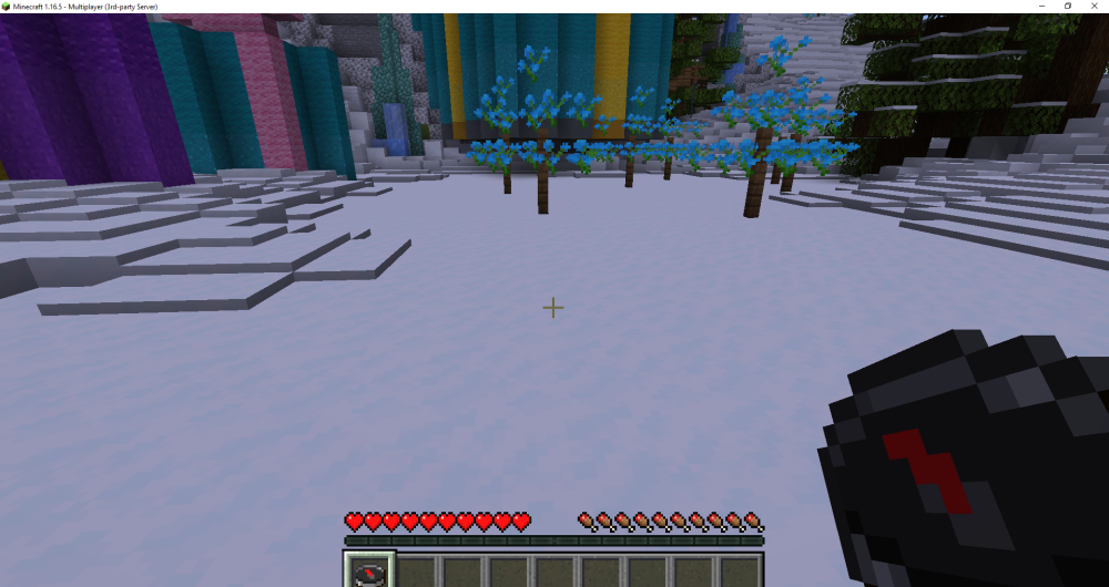Minecraft 1.16.5 - Multiplayer (3rd-party Server) 12_26_2024 12_25_24 PM.png