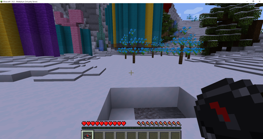 Minecraft 1.16.5 - Multiplayer (3rd-party Server) 12_26_2024 12_25_41 PM.png