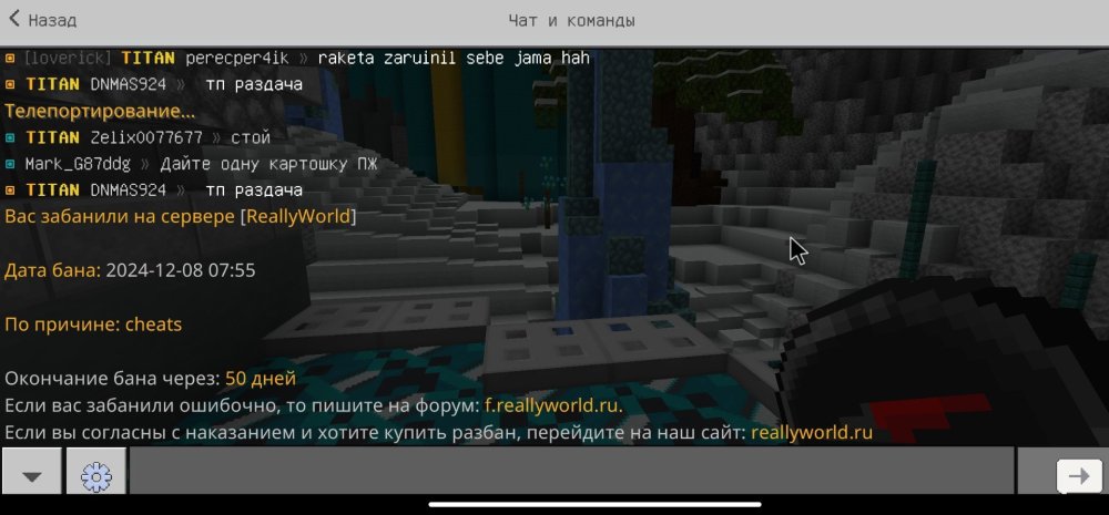 Screenshot_2024-12-08-07-57-04-651-edit_com.mojang.minecraftpe.thumb.jpg.bc7482385f565fd64967379a331afa7c.jpg