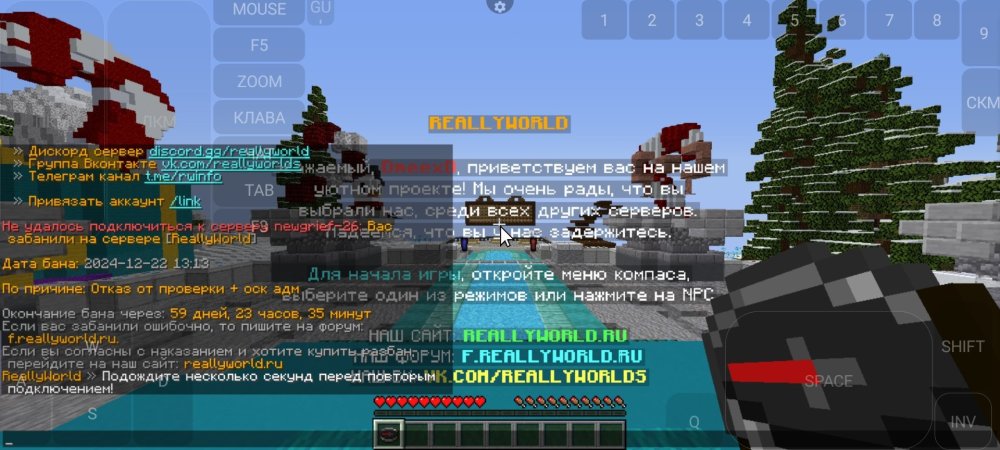 Screenshot_2024-12-22-12-37-57-976_net.kdt.pojavlaunch.jpg