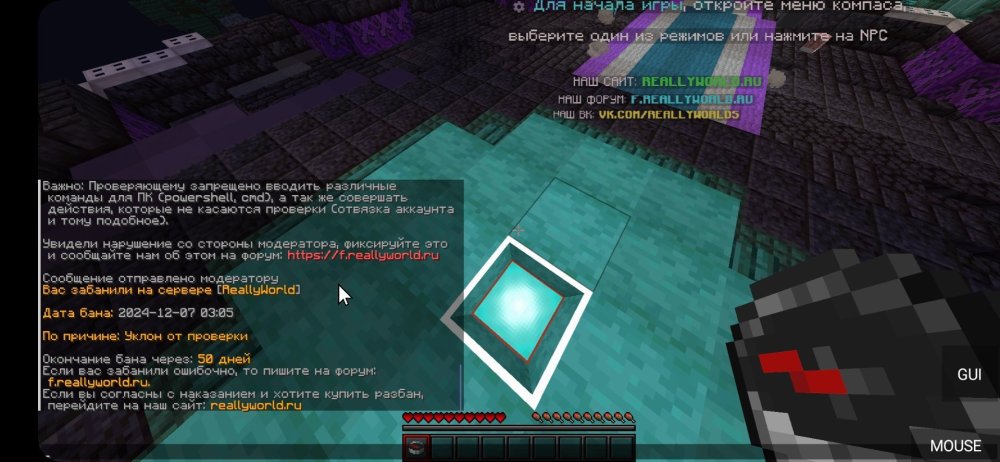 Screenshot_20241207_010529_PojavLauncher (Minecraft Java Edition for Android).jpg