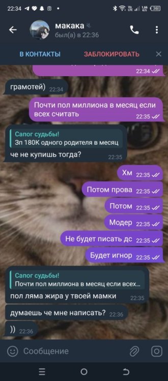 Screenshot_20241212-223420.jpg