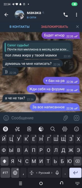 Screenshot_20241212-223449.jpg