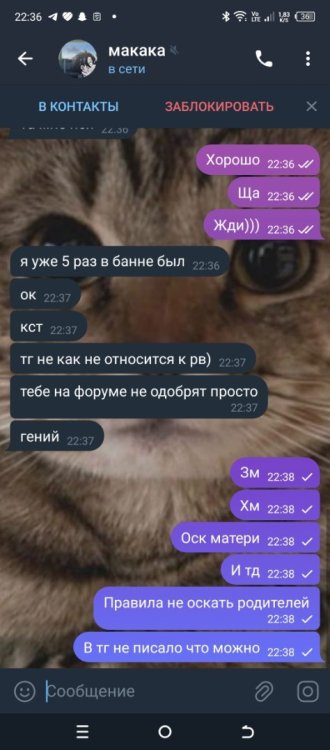 Screenshot_20241212-223652.jpg
