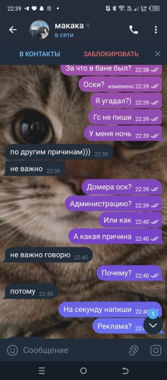 Screenshot_20241212-223921.jpg