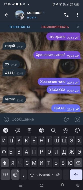 Screenshot_20241212-224011.jpg