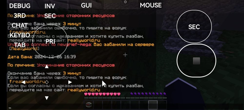 Изображение WhatsApp 2024-12-06 в 18.49.05_675c0507.jpg
