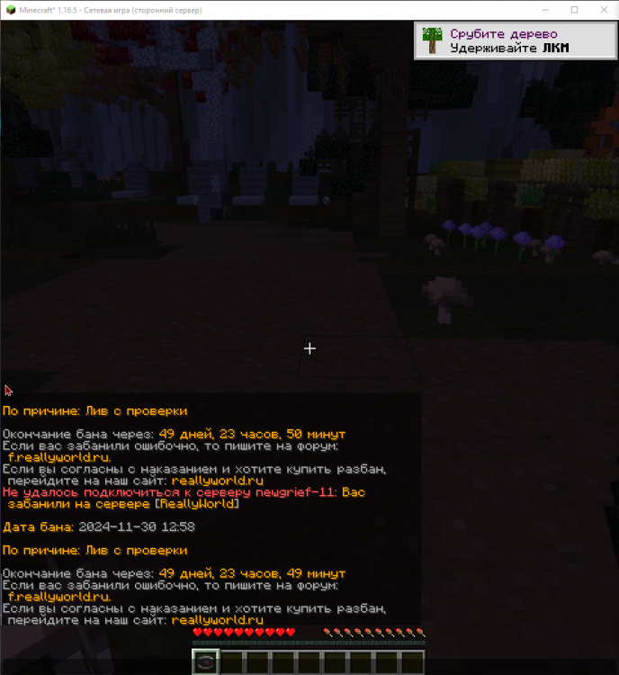 _2024-11-30_151310740.png.ec5e5468a3539d9405336afca3d896c5.png