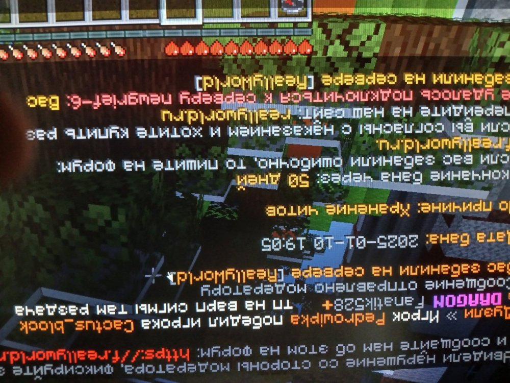 17365258082206639210244420685980.jpg