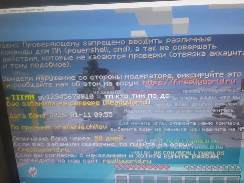 17365788253659147130720448082505.jpg