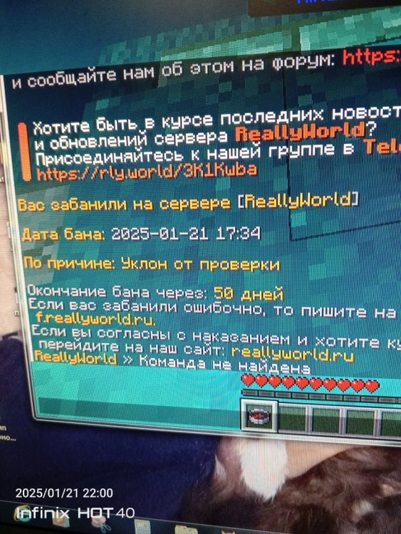 17374715899876984528904930502321.jpg