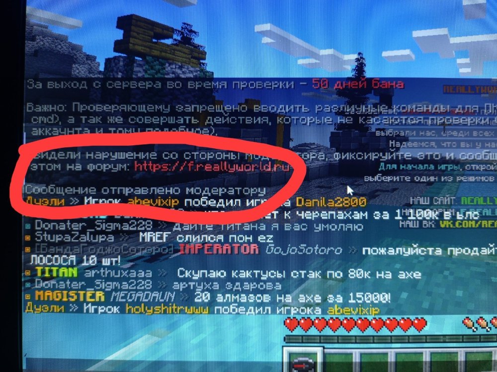 1738218361117.jpg