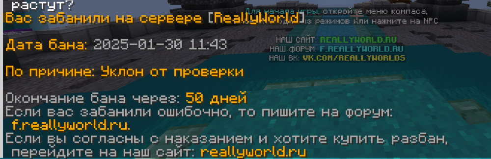 Снимок экрана 2025-01-30 115028.png