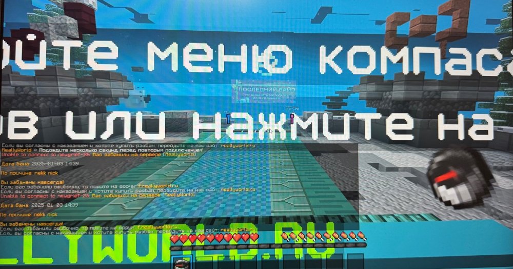 IMG_4727.jpeg