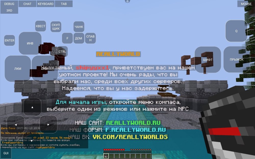 Screenshot_2025-01-12-18-34-29-869_net.kdt.pojavlaunch.jpg