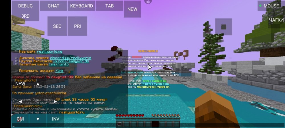 Screenshot_2025-01-16-20-03-57-486_net.kdt.pojavlaunch.jpg