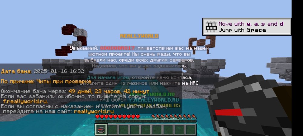 Screenshot_2025-01-16-20-49-54-192_com.tungsten.fcl.jpg