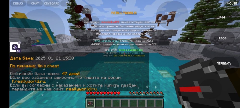 Screenshot_2025-01-21-15-30-41-614_net.kdt.pojavlaunch.jpg