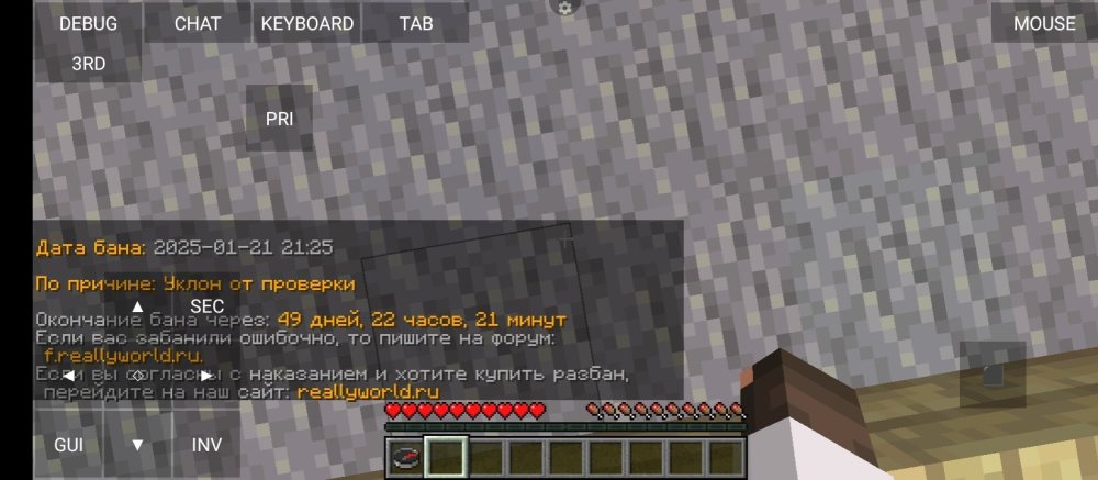 Screenshot_2025-01-21-23-04-24-424_net.kdt.pojavlaunch.jpg