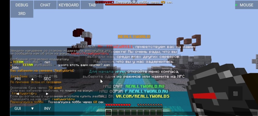 Screenshot_2025-01-22-09-01-48-838_net.kdt.pojavlaunch.jpg