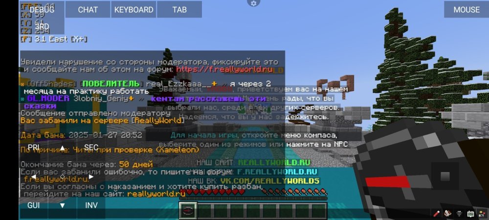 Screenshot_2025-01-27-19-52-42-051_net.kdt.pojavlaunch.jpg