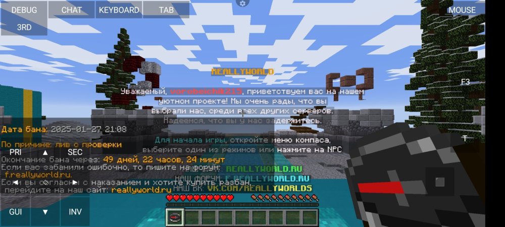 Screenshot_2025-01-27-22-43-40-458_net_kdt.pojavlaunch.thumb.jpg.4b87d67a57a02bf2d8d5542056945322.jpg