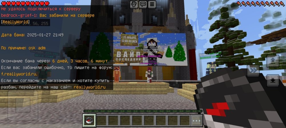 Screenshot_2025-01-31-19-43-38-673_com.mojang.minecraftpe.jpg