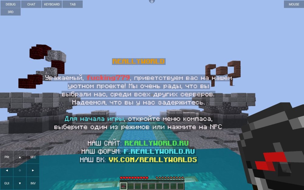Screenshot_20250102_204409_PojavLauncher (Minecraft Java Edition for Android).jpg