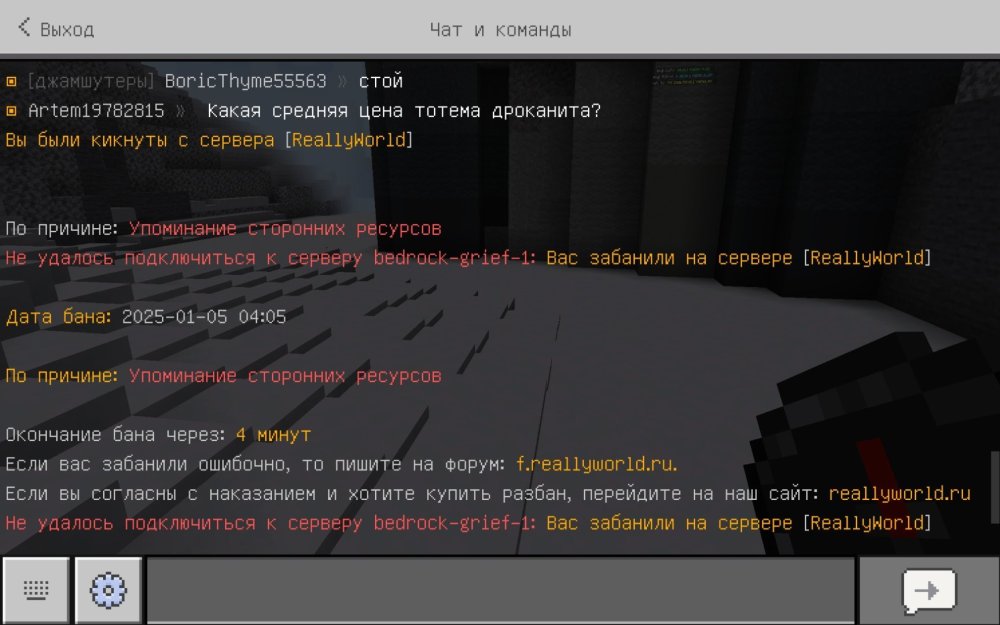 Screenshot_20250105_034800_com.mojang.minecraftpe.jpg