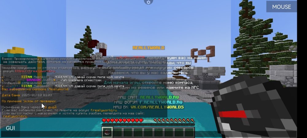 Screenshot_20250110_030352_net.kdt.pojavlaunch.jpg