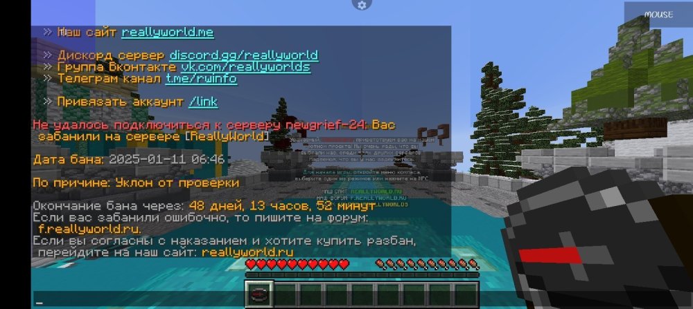 Screenshot_20250112-175414.jpg