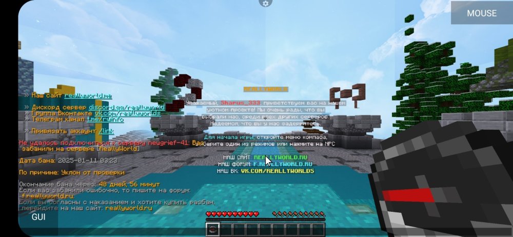 Screenshot_20250113-042650_PojavLauncher (Minecraft Java Edition for Android).jpg