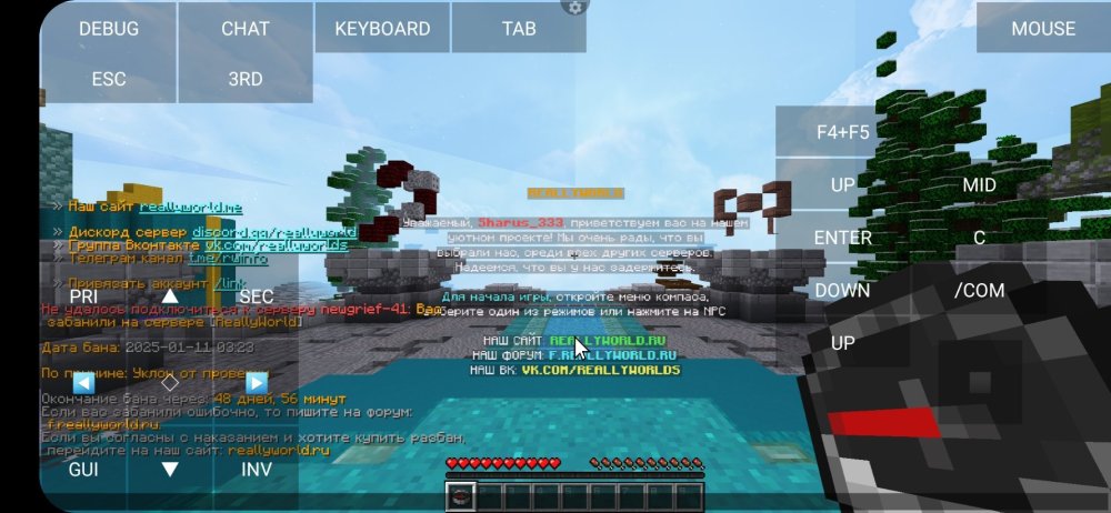Screenshot_20250113-042700_PojavLauncher (Minecraft Java Edition for Android).jpg