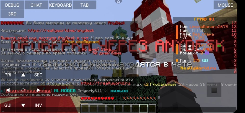 Screenshot_20250119_110150_PojavLauncher (Minecraft Java Edition for Android).jpg