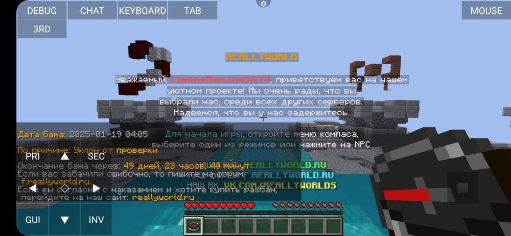 Screenshot_20250119_112520_PojavLauncher (Minecraft Java Edition for Android).jpg